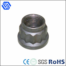Carbon Steel High Quality Zinc Plated 12 Point Nut